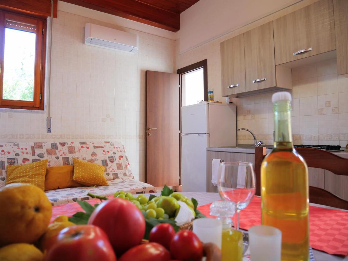 Olindo Apartment E Cristina Apartments ヴィーコ・エクエンセ エクステリア 写真