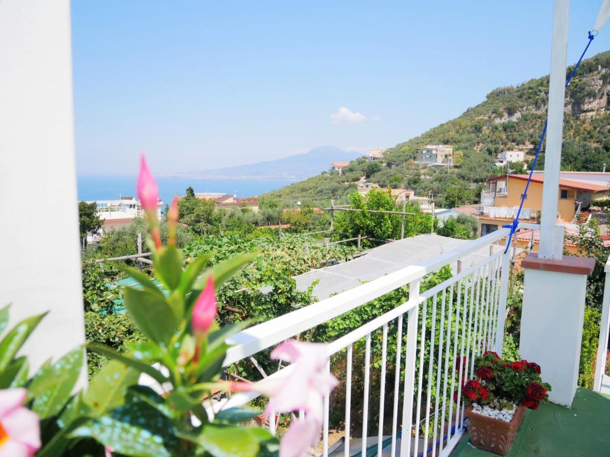 Olindo Apartment E Cristina Apartments ヴィーコ・エクエンセ エクステリア 写真