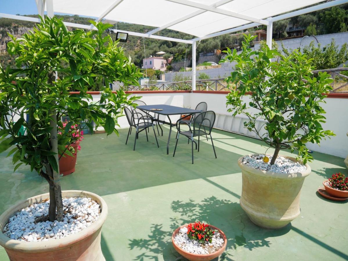 Olindo Apartment E Cristina Apartments ヴィーコ・エクエンセ エクステリア 写真